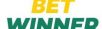 Букмекерская контора Betwinner — обзор официального сайта